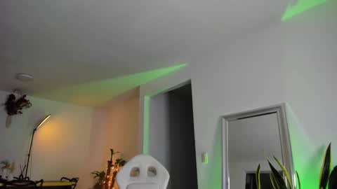 Snapshot of diagostone chatting on February 26, 2025, 8:04 am Diego online show from February 26, 2025, 8:04 am