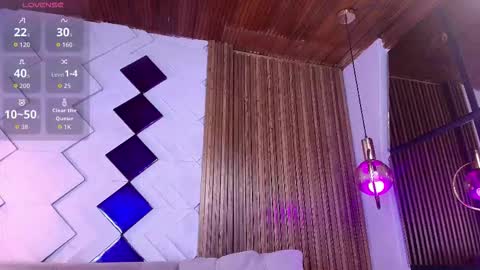 Snapshot of diamond_black19 chatting on November 22, 2025, 7:02 pm Camila and Megan online show from November 22, 2025, 7:02 pm