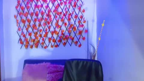 Diana online show from January 15, 2025, 4:43 pm