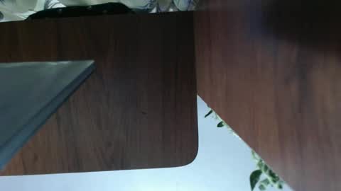 Snapshot of diana_smit_ chatting on January 1, 2025, 2:30 am diana online show from January 1, 2025, 2:30 am