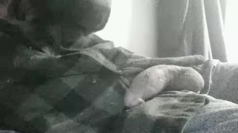 Snapshot of dickseenormous chatting on July 13, 2026, 11:35 am dick online show from July 13, 2026, 11:35 am