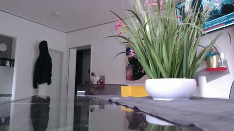 squirtcock online show from February 2, 2026, 12:48 pm