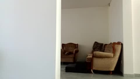 Snapshot of diegomoreno19 chatting on December 15, 2024, 6:04 pm Diego online show from December 15, 2024, 6:04 pm