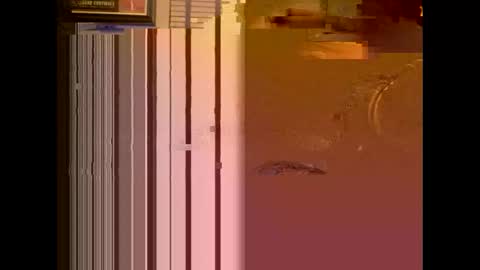 Snapshot of dildosnme22 chatting on January 13, 2025, 11:08 am dildosnme22 online show from January 13, 2025, 11:08 am