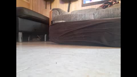 Snapshot of dildosnme22 chatting on February 19, 2025, 7:48 pm dildosnme22 online show from February 19, 2025, 7:48 pm