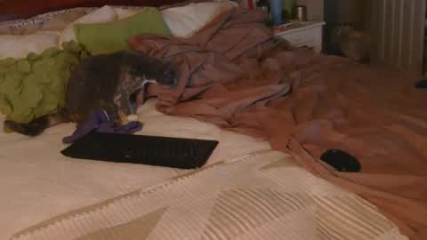 Snapshot of dildosnme22 chatting on December 18, 2025, 9:15 am dildosnme22 online show from December 18, 2025, 9:15 am