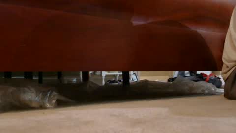 Snapshot of dildosnme22 chatting on August 3, 2026, 7:29 am dildosnme22 online show from August 3, 2026, 7:29 am