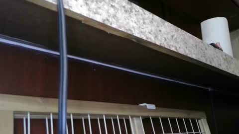 Sofie online show from February 28, 2025, 5:48 pm