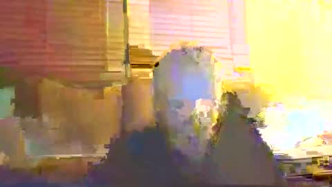 Snapshot of dingleberryjonesmagee chatting on October 25, 2025, 10:26 pm dingleberryjonesmagee online show from October 25, 2025, 10:26 pm