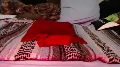 dino9999999 online show from March 2, 2026, 9:49 am