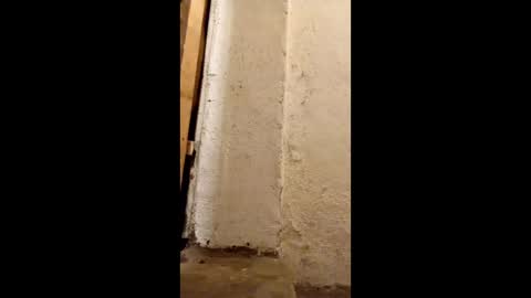 dirtytravbitch online show from May 6, 2026, 2:19 am