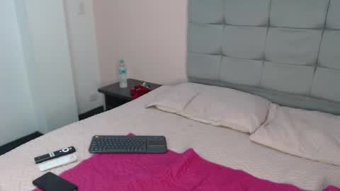 disyamil_pineda online show from April 21, 2026, 2:51 am