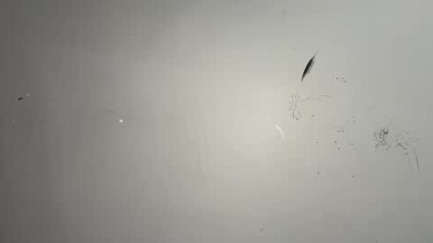 Snapshot of dixkzilla chatting on February 20, 2026, 2:52 am dixkzilla online show from February 20, 2026, 2:52 am