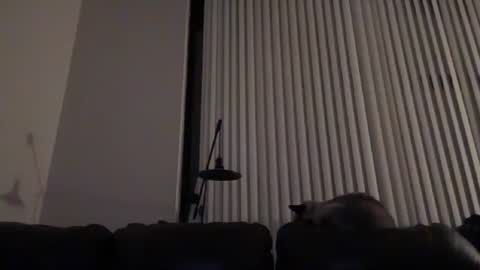 Snapshot of dj_chaterbate chatting on January 14, 2026, 4:07 am DJ Chaterbate online show from January 14, 2026, 4:07 am