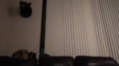 Snapshot of dj_chaterbate chatting on February 4, 2026, 8:31 am DJ Chaterbate online show from February 4, 2026, 8:31 am