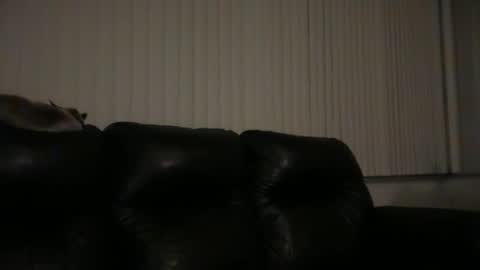 Snapshot of dj_chaterbate chatting on March 31, 2026, 6:36 am DJ Chaterbate online show from March 31, 2026, 6:36 am