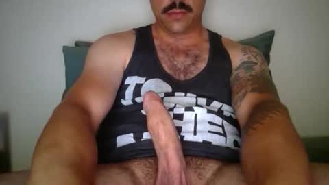 Snapshot of dk420mwa chatting on February 9, 2026, 6:50 am dk420mwa online show from February 9, 2026, 6:50 am