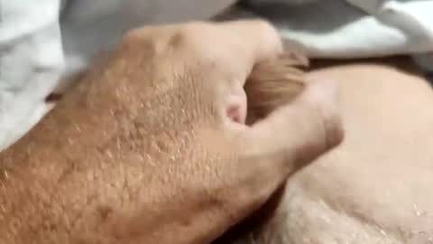 Snapshot of dockydick chatting on October 14, 2025, 12:00 am dockydick online show from October 14, 2025, 12:00 am