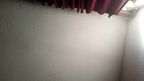 MrPepino online show from December 15, 2024, 2:16 pm