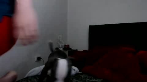 Catherine XXX online show from February 8, 2025, 9:03 am