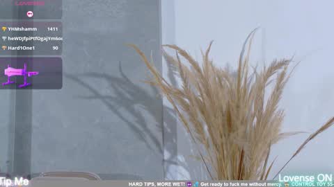 dolly_brownc online show from February 8, 2026, 10:35 pm