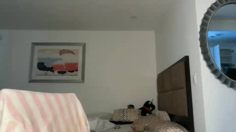 Snapshot of dollyrhodesss chatting on March 14, 2026, 8:36 pm Dolly Rhodes online show from March 14, 2026, 8:36 pm