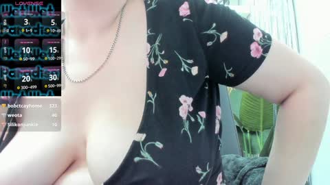 DoloresSea online show from January 19, 2025, 2:28 pm