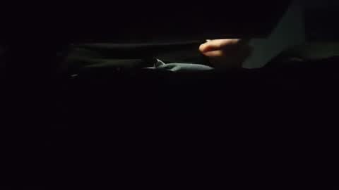 Snapshot of domcook147 chatting on January 4, 2025, 12:05 am domcook147 online show from January 4, 2025, 12:05 am