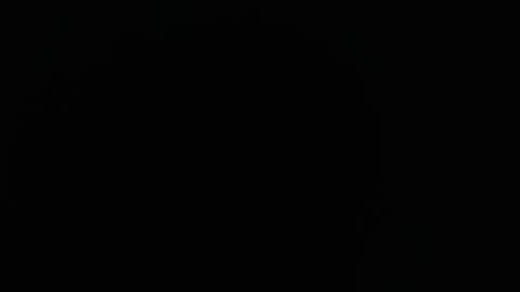 domenica online show from December 16, 2025, 12:21 pm