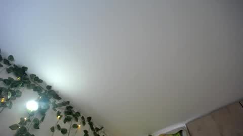 Snapshot of dominic_sofia chatting on June 18, 2026, 12:09 pm dominic_sofia online show from June 18, 2026, 12:09 pm