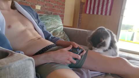 Snapshot of dommepleasemistress chatting on February 21, 2026, 7:26 pm dommepleasemistress online show from February 21, 2026, 7:26 pm