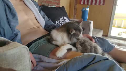 Snapshot of dommepleasemistress chatting on March 22, 2026, 5:05 pm dommepleasemistress online show from March 22, 2026, 5:05 pm