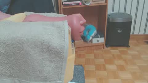 Don online show from March 29, 2026, 5:57 pm