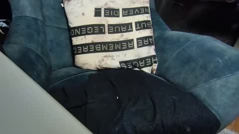 dondiego9999 online show from January 6, 2025, 8:07 pm