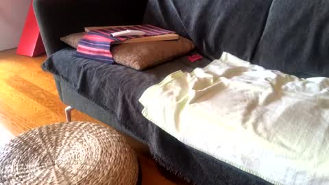 Snapshot of donizetti2017 chatting on January 15, 2025, 9:02 am Alfredo online show from January 15, 2025, 9:02 am