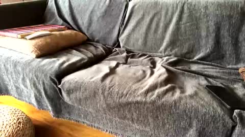 Snapshot of donizetti2017 chatting on February 9, 2025, 9:47 am Alfredo online show from February 9, 2025, 9:47 am