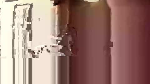 donnie206 online show from January 6, 2026, 6:17 am