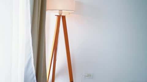 Donatella online show from January 13, 2026, 11:37 am