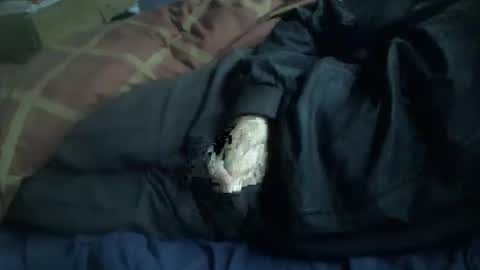 Hello  welcome to Slutsville  I am the Naked Chef  really  but you may call me Peter online show from January 12, 2026, 9:58 am