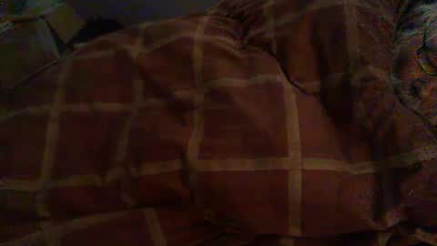 Hello  welcome to Slutsville  I am the Naked Chef  really  but you may call me Peter online show from February 12, 2026, 8:53 am