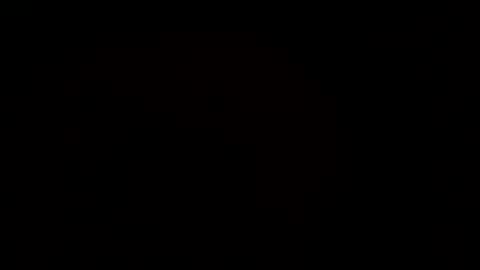 MrPirated online show from March 8, 2025, 6:47 pm