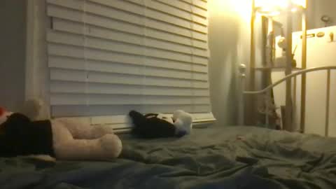 Snapshot of dream1girl_ chatting on January 12, 2025, 6:49 am ur dream girl online show from January 12, 2025, 6:49 am