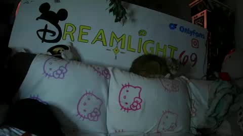 Dreamlight online show from January 26, 2025, 7:53 am