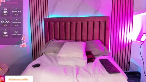 Snapshot of dreammatell_ chatting on January 28, 2025, 3:15 am Dream Matell online show from January 28, 2025, 3:15 am