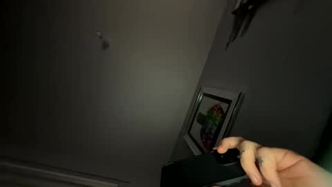 Snapshot of drippinggenie chatting on January 29, 2025, 3:44 am drippinggenie online show from January 29, 2025, 3:44 am