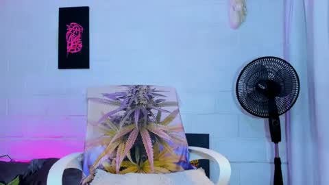 drippyorlove online show from July 3, 2026, 6:36 pm