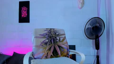 drippyorlove online show from July 24, 2026, 1:53 pm