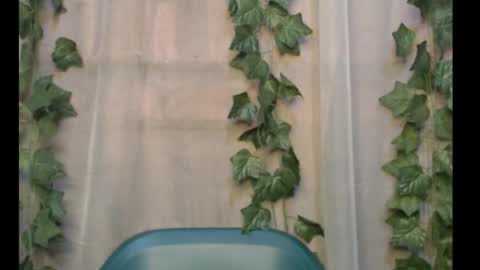 Snapshot of dripqueenx chatting on September 28, 2025, 11:04 am linda online show from September 28, 2025, 11:04 am