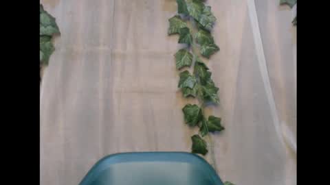 Snapshot of dripqueenx chatting on November 12, 2025, 1:50 am linda online show from November 12, 2025, 1:50 am