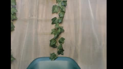 Snapshot of dripqueenx chatting on December 15, 2025, 10:52 am linda online show from December 15, 2025, 10:52 am
